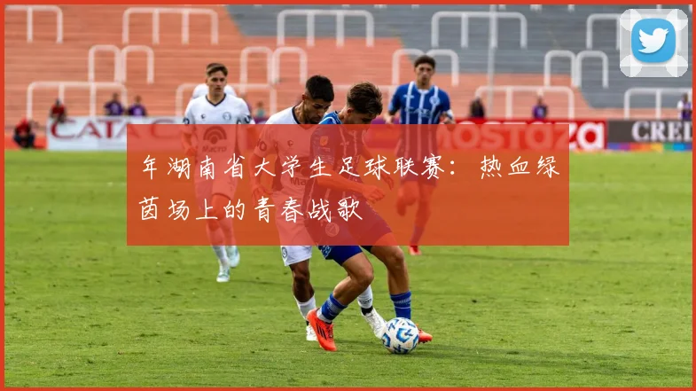 年湖南省大学生足球联赛:热血绿茵场上的青春战歌