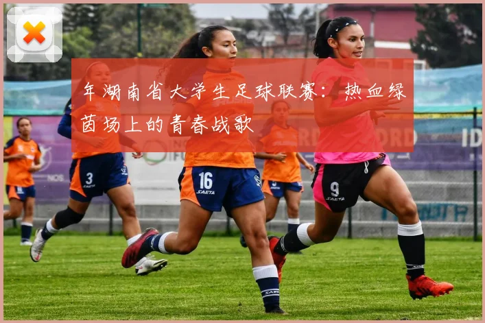 年湖南省大学生足球联赛：热血绿茵场上的青春战歌